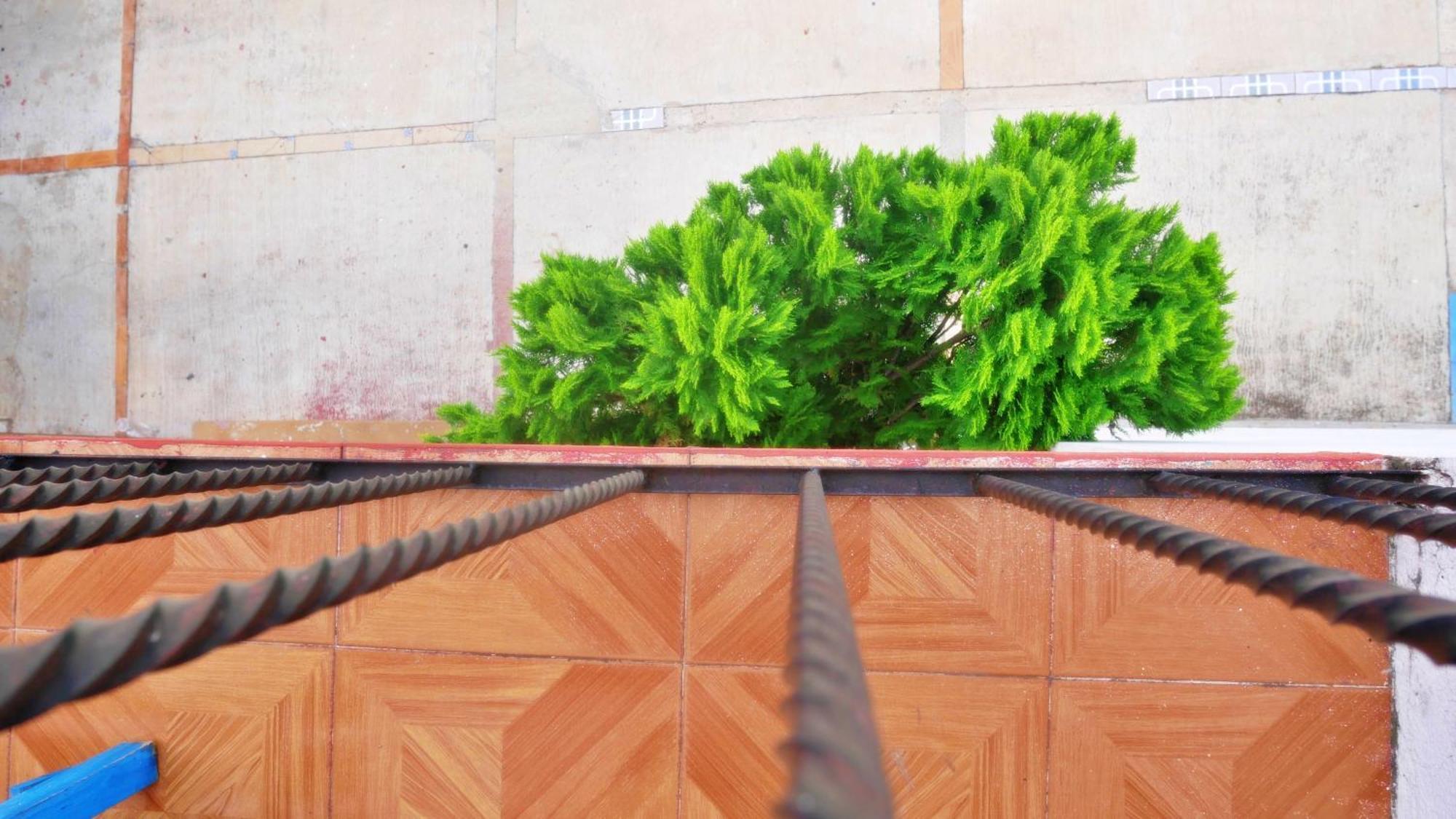 A Pousada Casa El Mundo Oaxaca Exterior foto